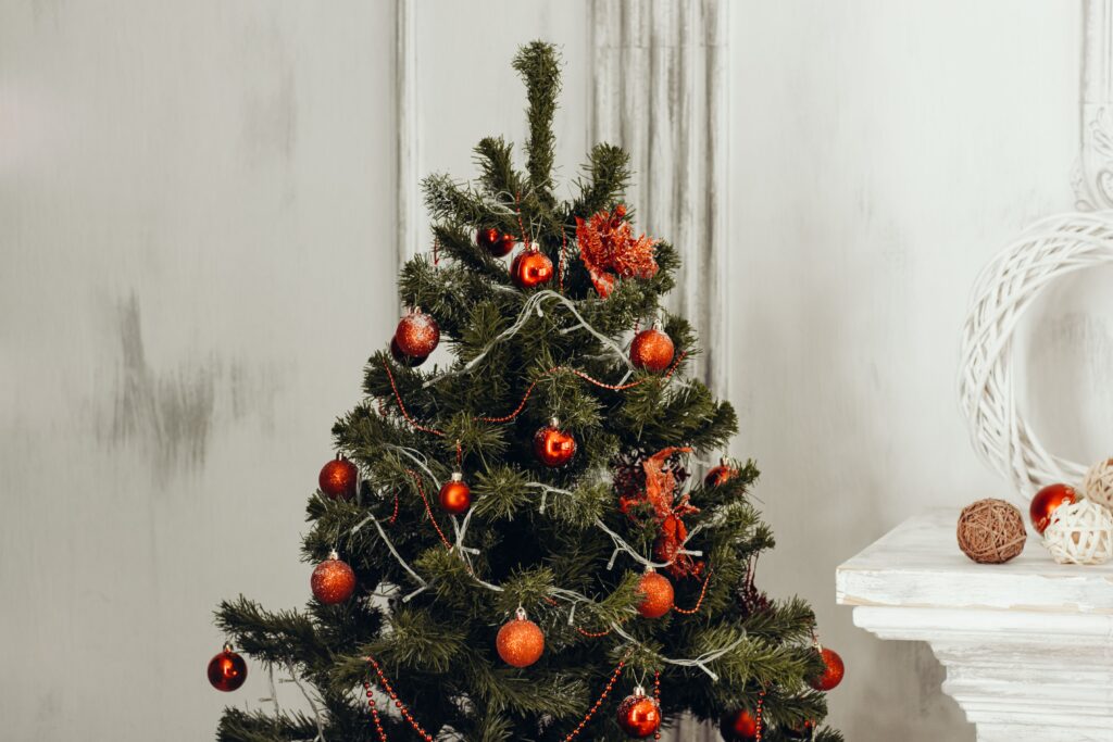 Top Ten Ways to Have A Healthy Holiday